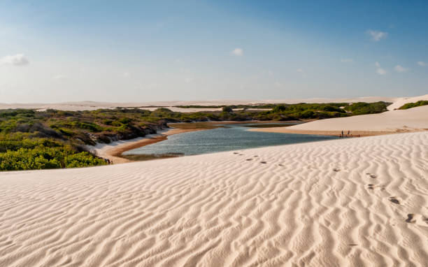 Sand dunes landscape in Lençois Maranhenses National Park, Brazil Lençois Maranhenses National Park, Maranhão, Brazil. Cultural Patrimony of the Humanity for Unesco brazil desert maranhao state national park stock pictures, royalty-free photos & images