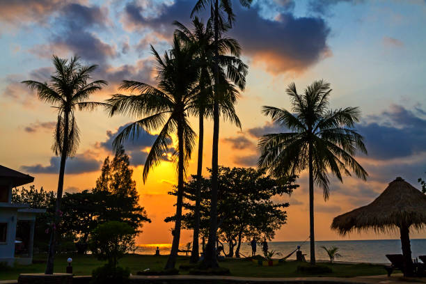 istock Sunset on Bailan beach at Koh Chang Thailand. 1264035681