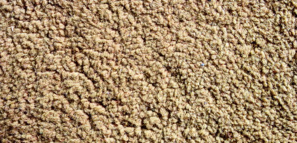 istock Orange Towel carpet for texture background. Texture of a orange carpet. Abstract, decor. 1264038840