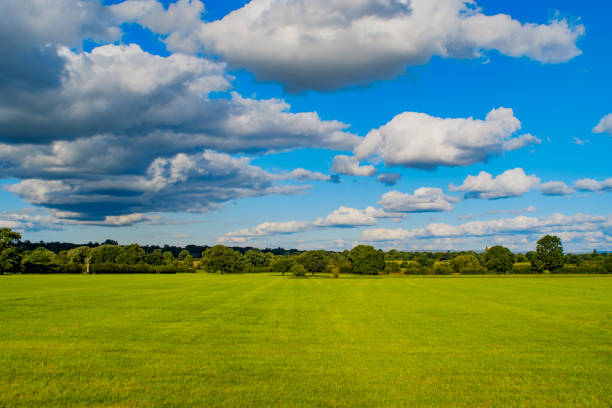 istock Green grass field background in England 1264045810
