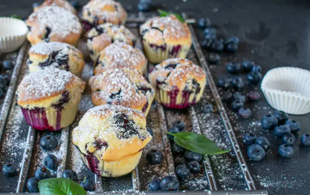 blueberry muffins on a cooling grid - fresh and homemade baked - with a nice berry decoration on a dark table