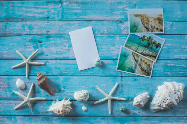istock Flat lay of seashells, starfish and postcards with palm trees 1264046241