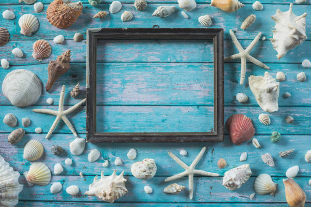 Directly above shot of arrangement of different seashells and starfish around a rustic looking, empty, picture frame with copy space, against ocean blue wooden background.