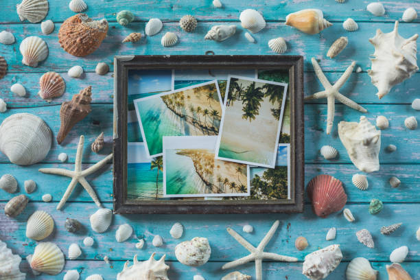 istock Photos and postcards in an empty rustic picture frame with seashells and starfish around it 1264046252