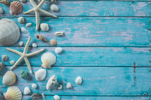 Flat lay of different shaped seashells and starfish on a sea blue wooden background with copy space.