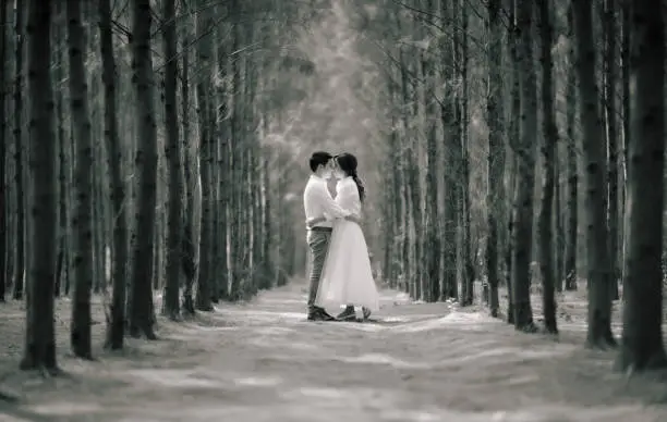 Young asian groom and bride posing and smiling for pre-wedding shot