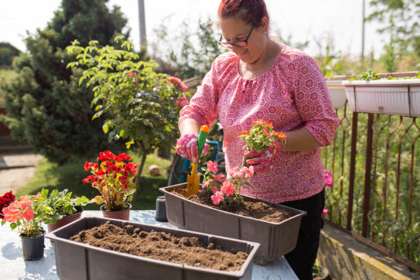 istock Cherishing my garden 1264054951