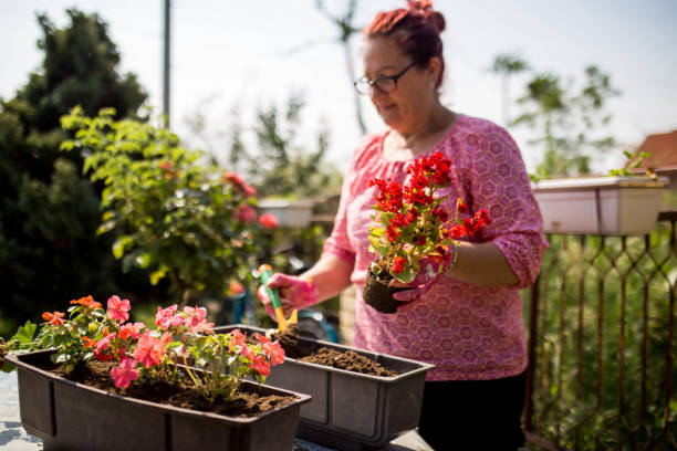 istock Active senior woman enjoying planting 1264054964