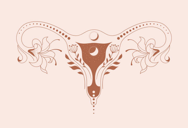 Motherhood, maternity, babies and pregnant women logos, collection of fine, hand drawn style vector illustrations and icons Motherhood, maternity, babies and pregnant women logo set. Collection of fine, hand drawn style vector illustrations and icons. uterus stock illustrations