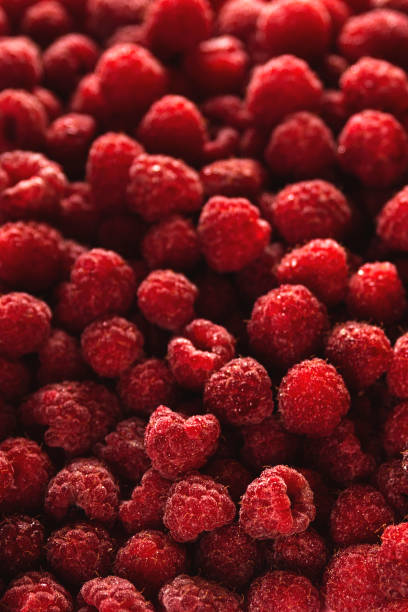 Ripe red raspberries background. Summer food concept