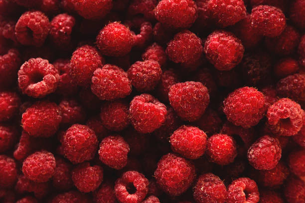 Ripe red raspberries background. Summer food concept