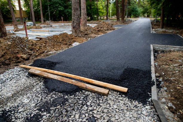 istock Laying asphalt on a pedestrian path in a city park, landscaping 1264058190