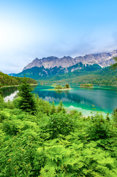 piccole isole con pini in mezzo al lago eibsee con monte zugspitze. bellissimo scenario paesaggistico con spiaggia paradisiaca e acqua cristallina nelle alpi tedesche, baviera, germania, europa. - zugspitze mountain mountain summer european alps foto e immagini stock