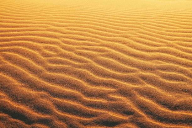 サハラ砂漠の砂丘 - desert landscape morocco sand dune ストックフォトと画像