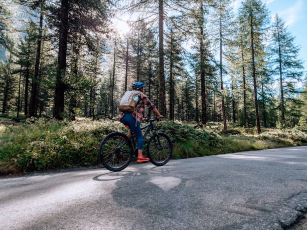 istock Mountain biker in forest at sunset 1264062753