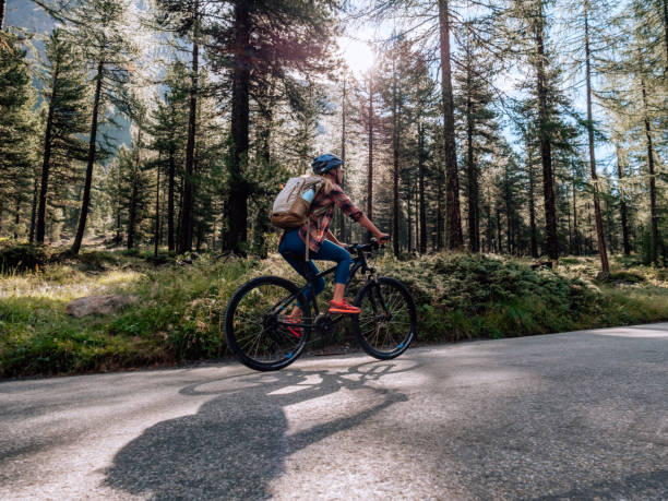 горный байкер в лесу на закате - cycling bicycle forest nature стоковые фото и изображения