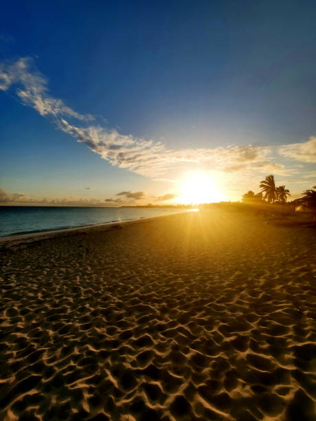 istock Beautiful long bay beach at sunset light, Anguilla, Caribbean 1264066316
