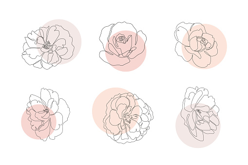 Continuous line flowers set with abstract circles. Trendy single line botanical illustration for print or web. Rose outline vector drawing