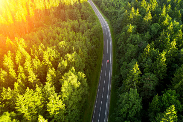 istock the car rides on a forest road the view from the top 1264066425