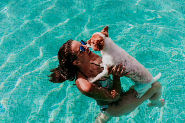 행복한 젊은 여자와 개 수영장에서 재미. 여름 시간 - pets stroking licking love 뉴스 사진 이미지