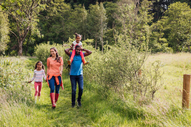 istock Family Walk Through Woodland 1264072350