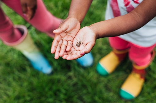 Close-up of unrecognisable siblings holding a baby frog.