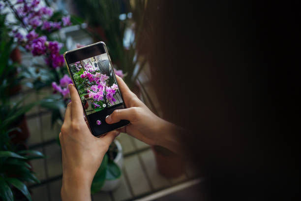 istock Florist is photographing orchids 1264074007