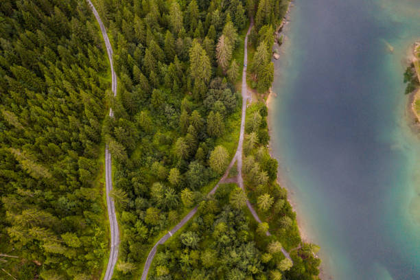 Aerial view of beautiful alpine lake in pine tree forest in Switzerland
