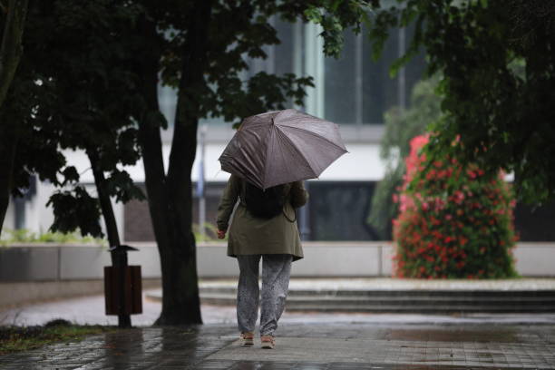 istock Woman with an umbrella 1264076441