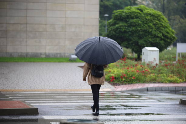 istock Woman with an umbrella 1264076509