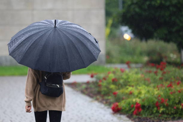 istock Woman with an umbrella 1264076536