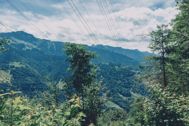 istock Power line in the Swiss mountains 1264078707