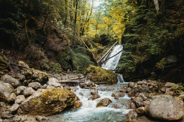 Cascade of the Chauderon Gorges, between Les Avants and Montreux (Switzerland)
