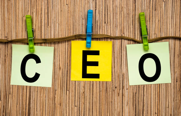 istock CEO Business Customer Management Analysis Service Concept Business team 1264079709