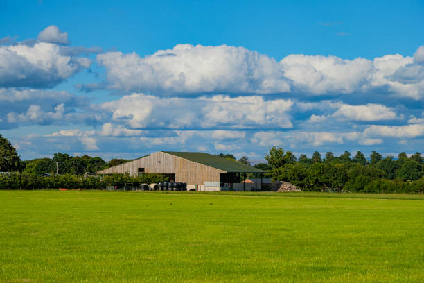 istock Green grass field background in England 1264081528