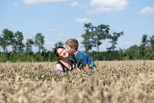 The son kisses the mother in the wheat field. Happy family walks in the field with ripe wheat.