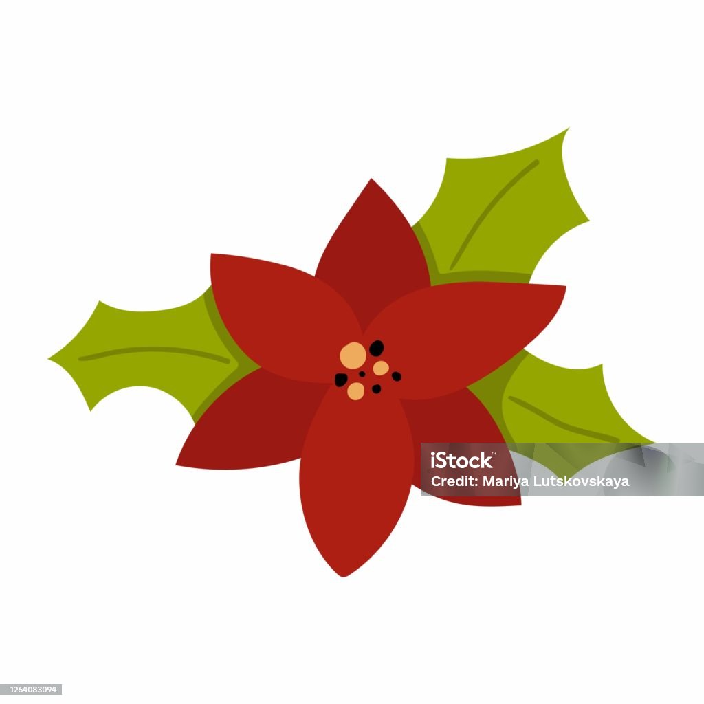 Ilustración de Icono Único De Poinsettia Flor De Invierno Con Hojas Para Sus Vacaciones De Navidad Diseño Plano Vector Dibujo Animado Colección De Garóculas y más Vectores Libres de Derechos de Flor Ilustración de Icono Único De Poinsettia Flor De Invierno Con Hojas Para Sus Vacaciones De Navidad Diseño Plano Vector Dibujo Animado Colección De Garóculas y más Vectores Libres de Derechos de Flor