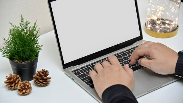 istock Close up. businessman using laptop in office with tree, pine cone, lightbulb and blank screen laptop on white table. Christmas Day concept. 1264084845