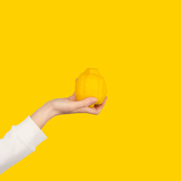 istock Female hand holds big bright lemon fruit isolated on yellow background. 1264085774