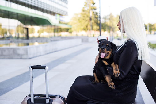 An attractive blonde is waiting at the airport with her dog