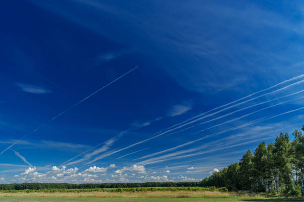 White jet passenger plane flying at high altitude in the blue sky. White traces of condensation of water vapor in the form of lines from flying aircraft over the field and trees.