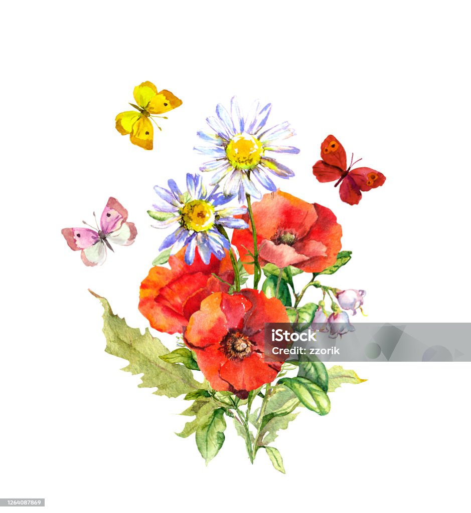 Butterflies At Bouquet With Flowers Floral Summer Composition Poppies  Chamomile Flower Watercolor Stock Illustration - Download Image Now - iStock