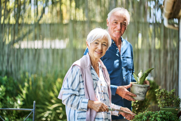 istock Smiling senior couple doing some gardening in their backyard 1264088955