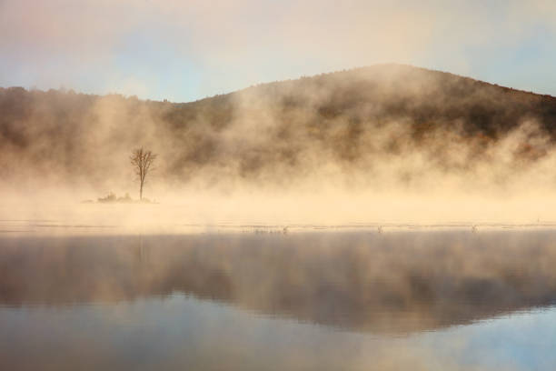istock Morning mist on a small pond in Killington Vermont 1264090877
