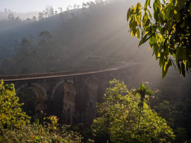 istock Famous nine arch bridge viaduct in Sri Lanka, Ella 1264091391