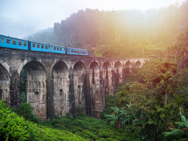 istock Blue train passing on famous nine arch bridge viaduct in Sri Lanka, Ella 1264092066
