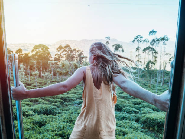 istock Tourist in Sri Lanka riding train 1264092177
