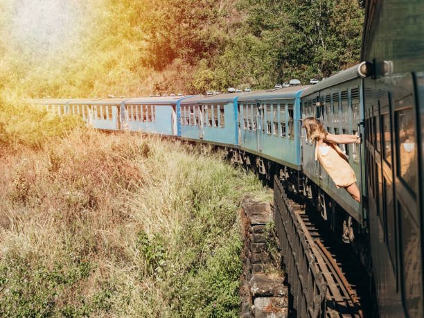 istock Tourist in Sri Lanka riding train 1264092213