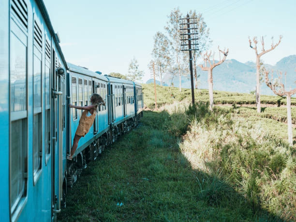 istock Tourist in Sri Lanka riding train 1264092218