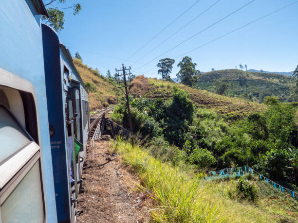 istock Perspective from blue train passing through tea plantations 1264092224